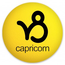 HappyBalls Capricorn Birth Sign Car Antenna Ball  Auto Dashboard Accessory (Zodiac) 